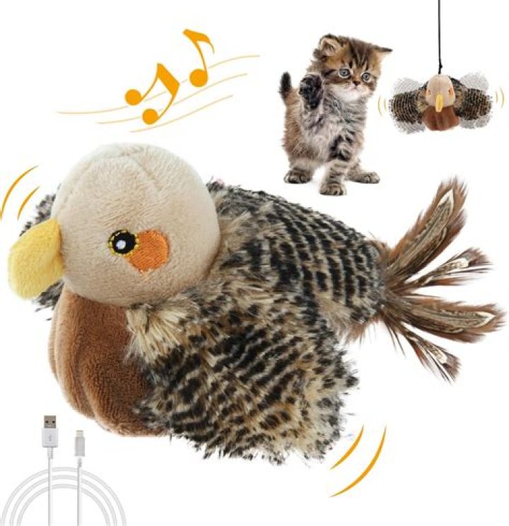 Are cat toys made in China safe?