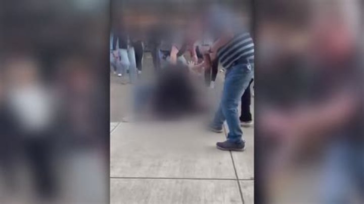 Are fights allowed in school?
