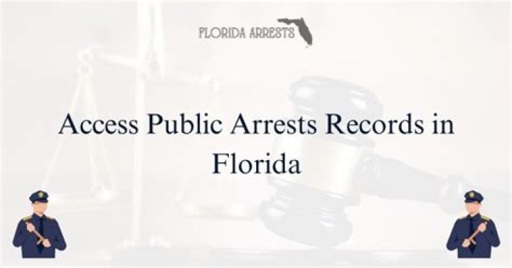 Are Florida criminal records public?