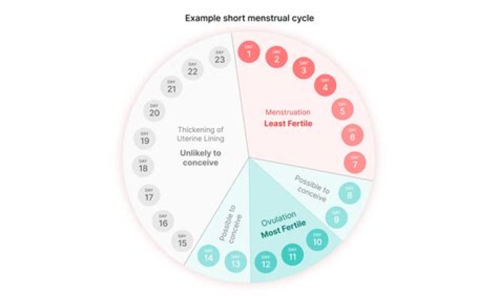Can I get pregnant on first cycle of Clomid?