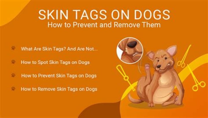 Can I remove skin tags from my dog?