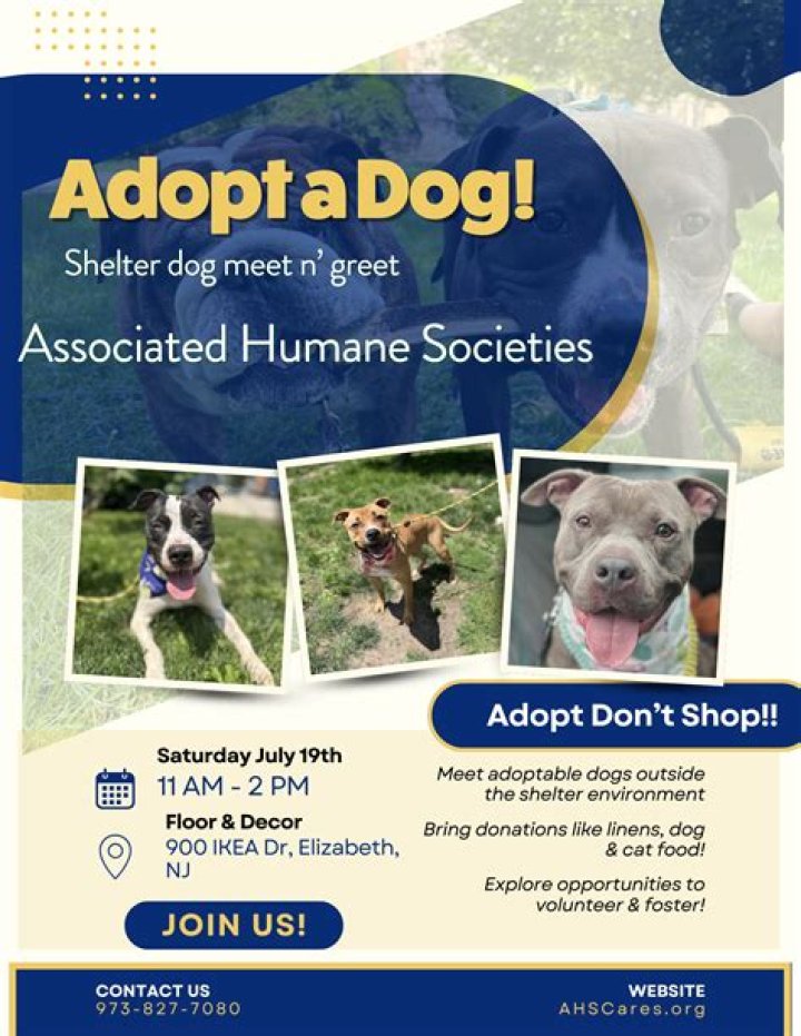 Do humane societies take rats?