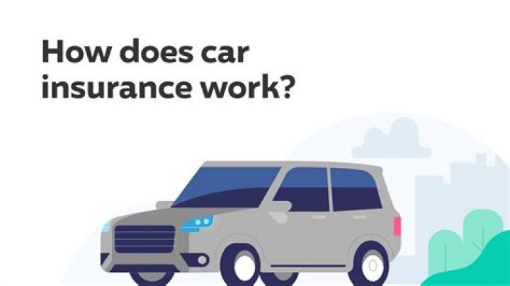 Does car insurance go up after hitting a deer?