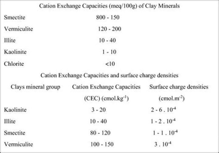 Does clay increase cation exchange capacity?