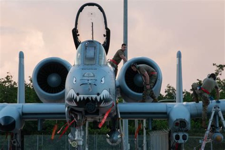 Does the military still use warthogs?