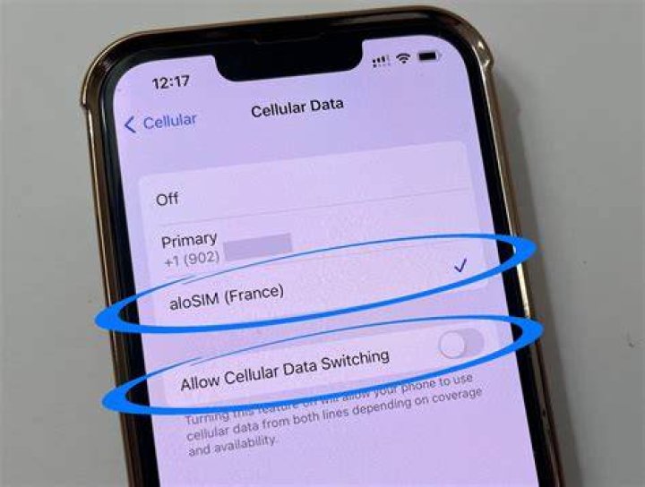 How do I change my primary SIM on iPhone?