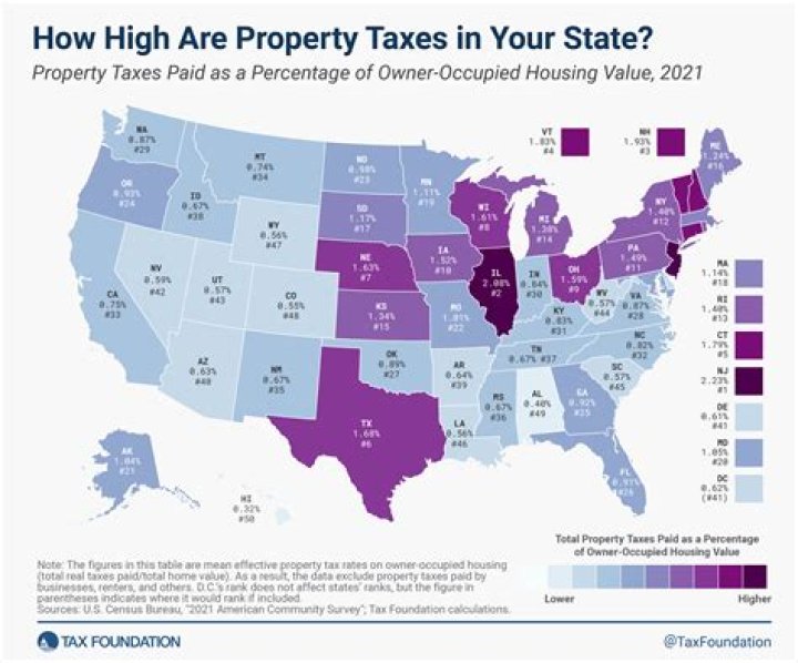 How do I look up property taxes in Michigan?