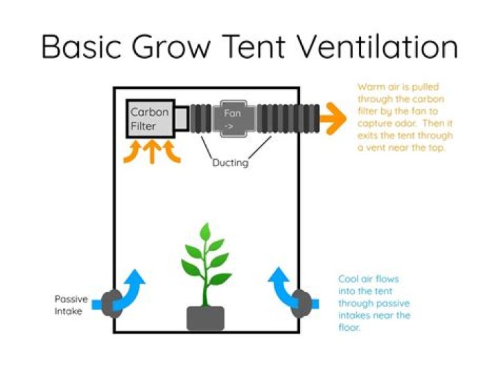 How do I ventilate my grow room?