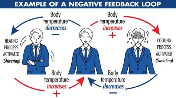 How do I write a negative feedback to my boss?