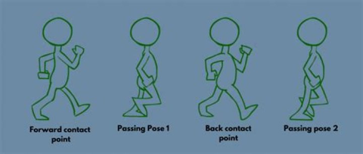 How do you do basic animation in Flash?