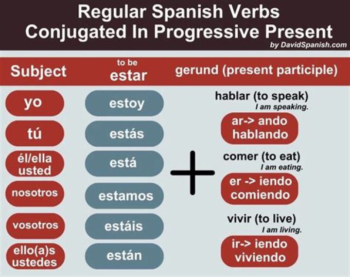 How do you find the conjugated verbs in Spanish?