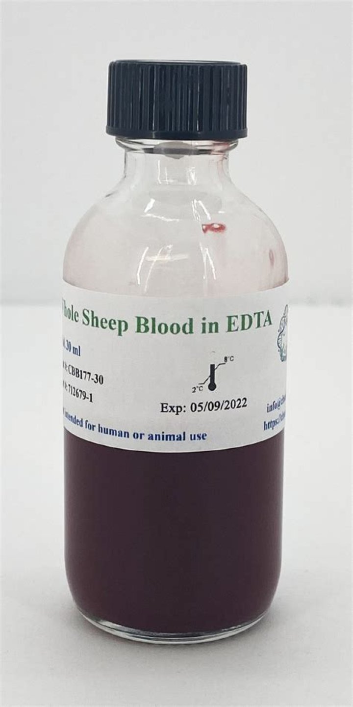 How do you give a Defibrinated sheep blood?