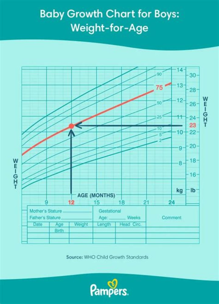 How do you know what percentile you are in weight?