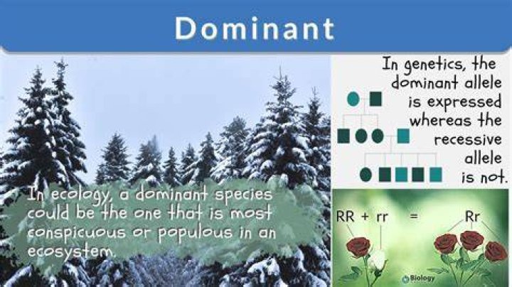 How do you win a dominant species?