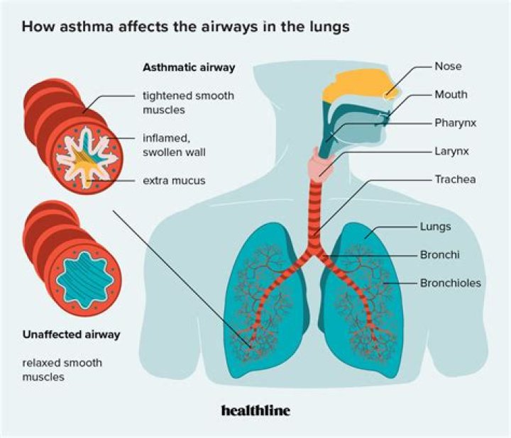 How does autism affect the respiratory system?