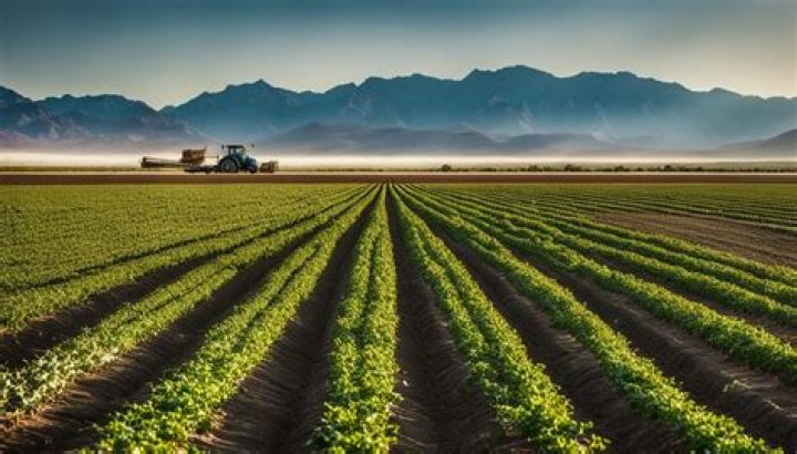 How is the Imperial Valley known for agriculture?