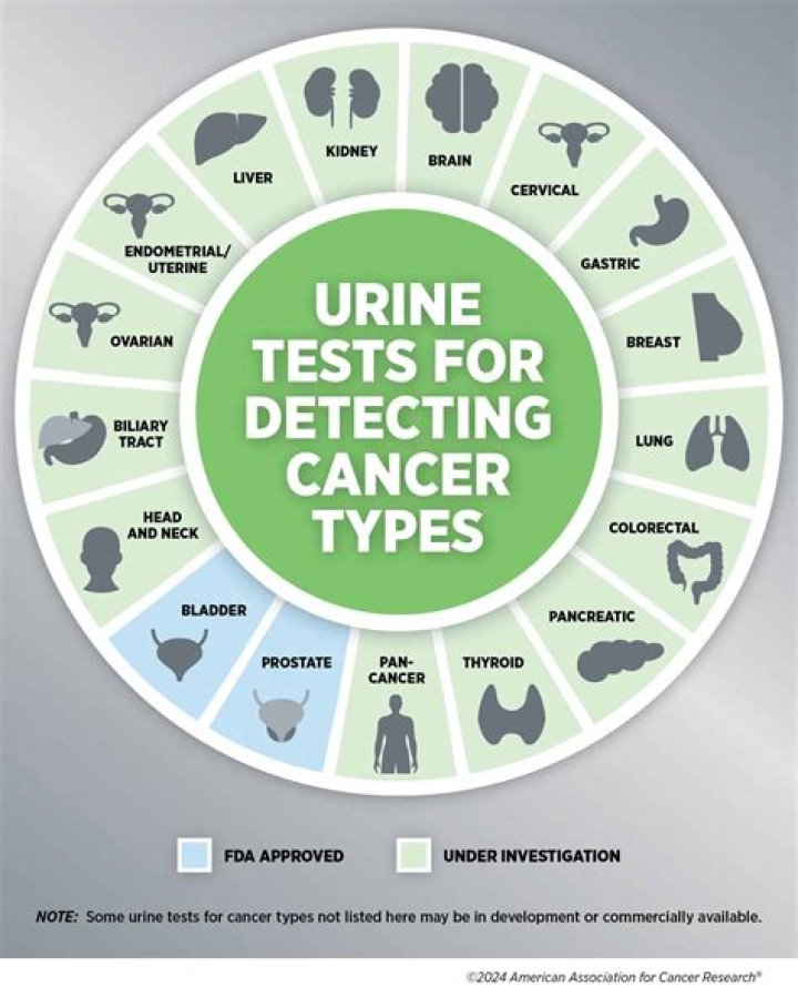 How long can EtG EtS be detected in urine?