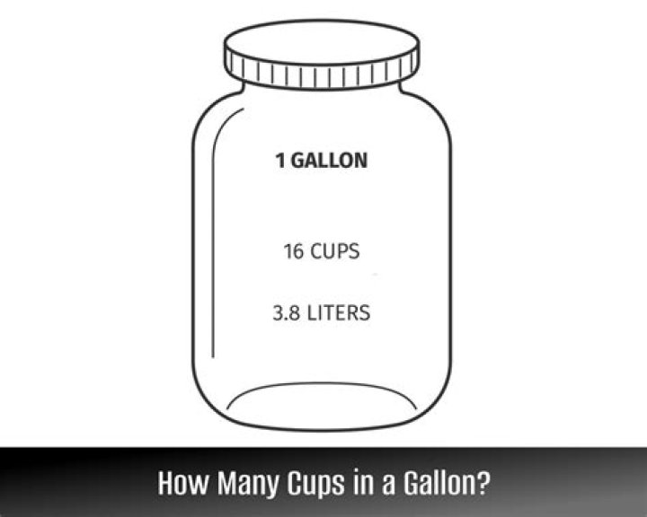 How many 800 mL are in a gallon?