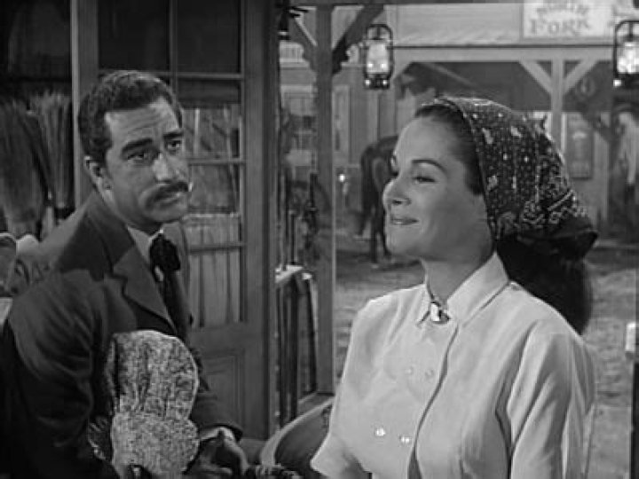 How many episodes of The Rifleman are there?