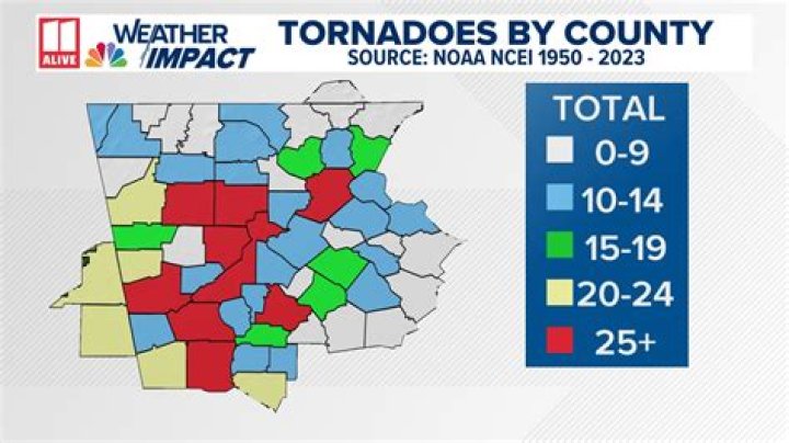 How many inches of rain has Georgia had in 2020?
