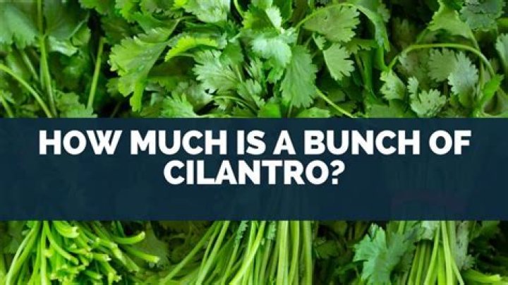 How many Oz is a bunch of cilantro?