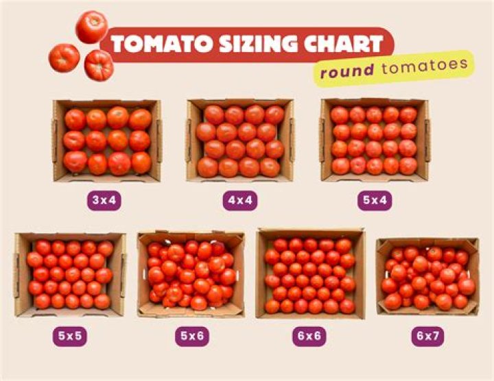 How many tomatoes are 400 grams?