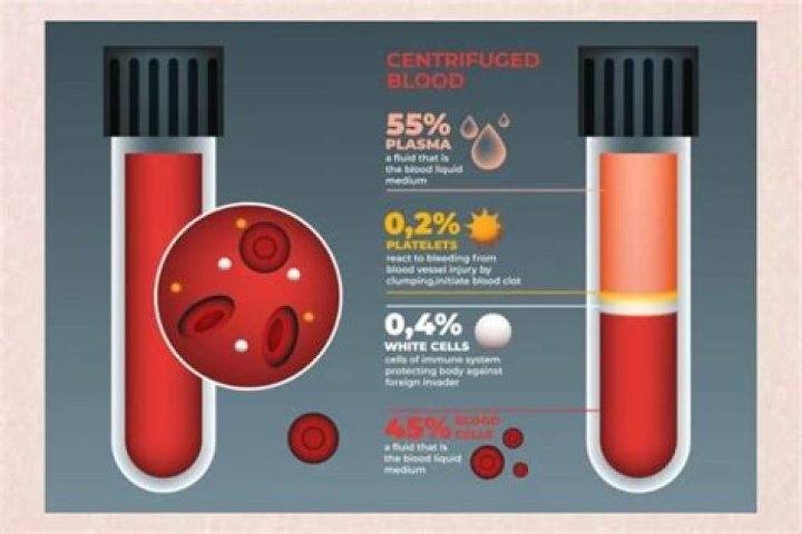 How much blood is in one pint of blood?