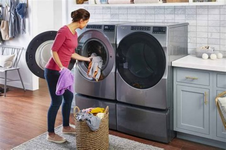 How much does a dog washer cost?
