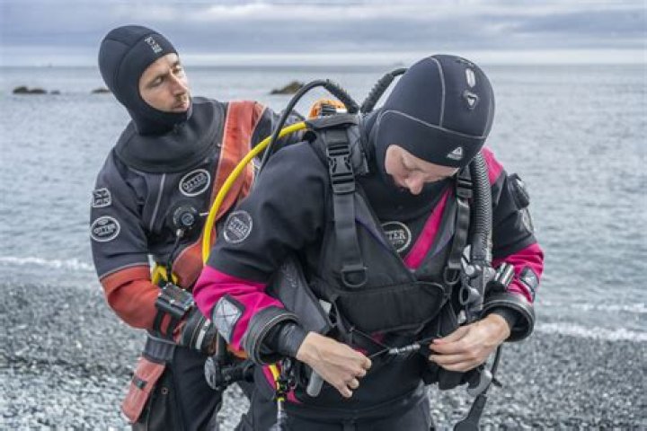 How much does dive training cost?