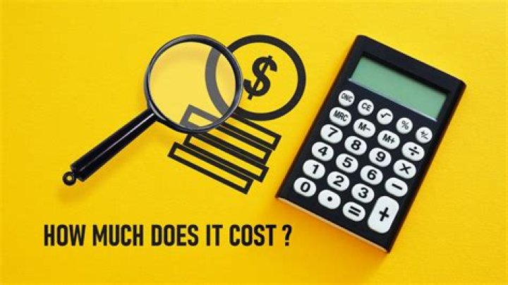 How much does SBIRT cost?