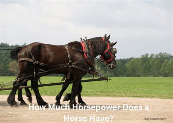 How much horsepower does a 88 Monte Carlo SS have?