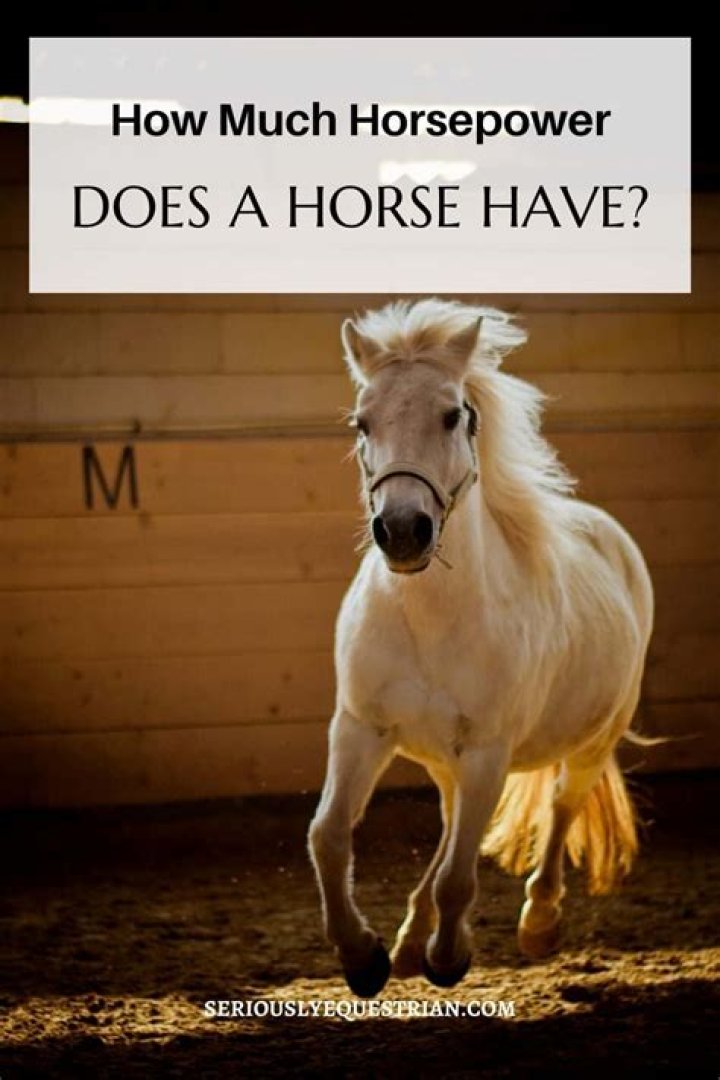 How much horsepower does a superchip add?