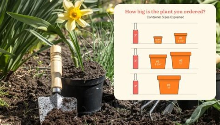 How much is a quart of fruit?