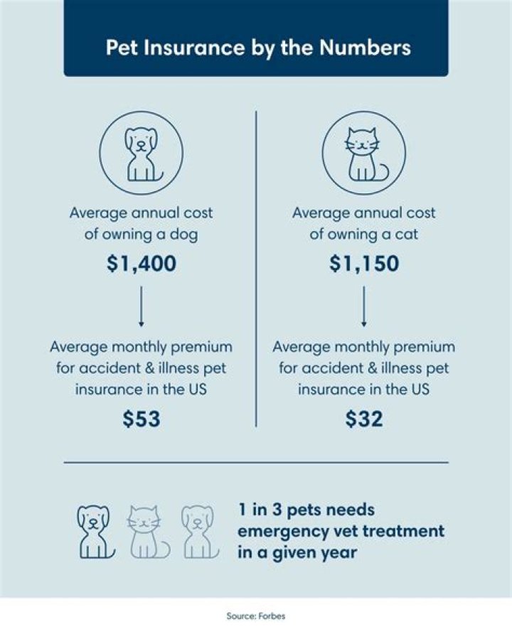 How much is insurance for a dog business?