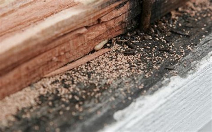 How much should I pay to have my roof cleaned?