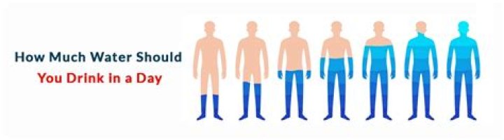 How much water is a human supposed to consume in 24 hours?