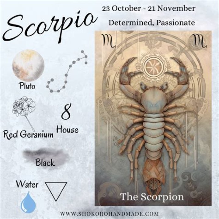 Is 2016 a good year for Scorpio?