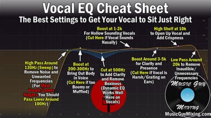 Is AT2020 good for vocal recording?