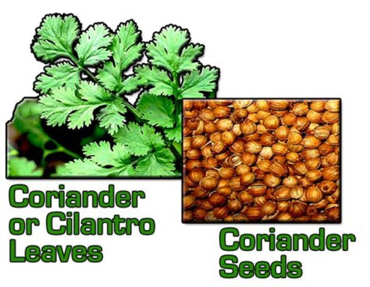 Is coriander seeds and ground coriander the same?