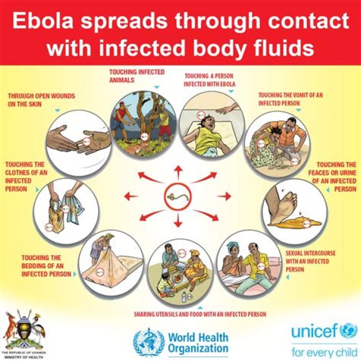 Is Ebola spread through blood to blood?