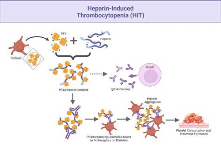 Is heparin a LMW?