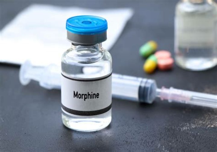 Is morphine sulfate and hydromorphone the same thing?