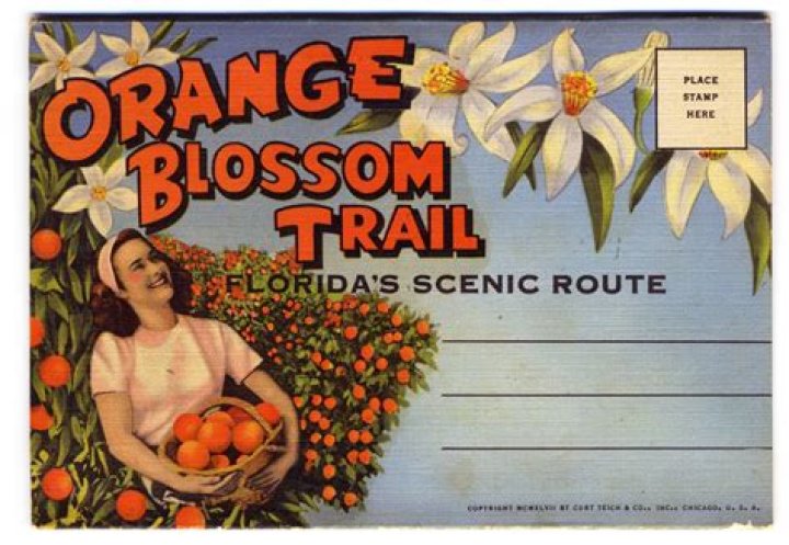 Is Orange Blossom Trail Safe?