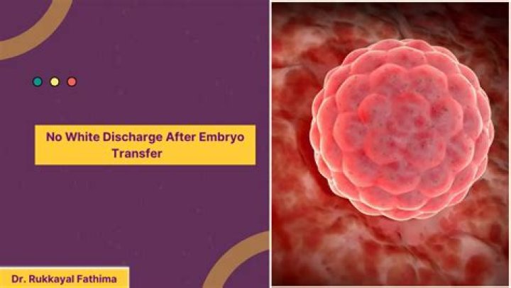 Is white discharge normal after embryo transfer?