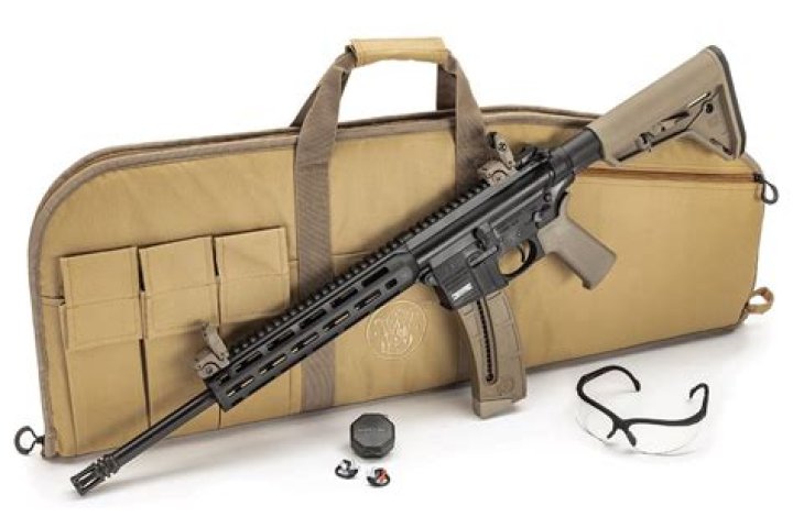 What ammo does a Smith and Wesson M&P 15-22?
