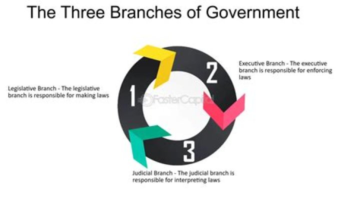 What are the 3 branches of government in NC?