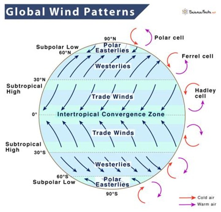 What are the 3 global wind patterns?