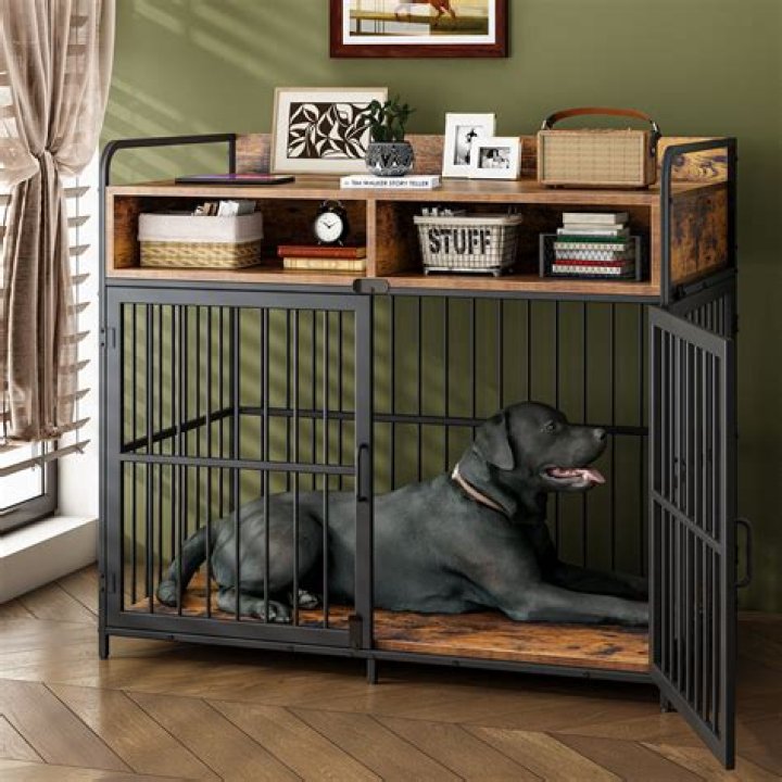 What are the different sizes of metal dog crates?