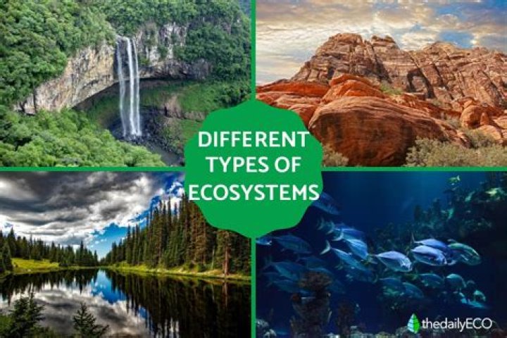 What are the different types of ecosystems in the United States?