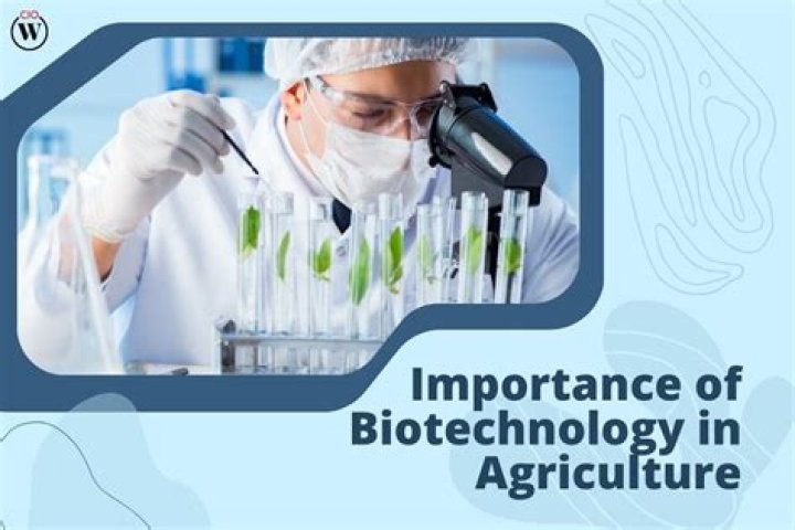 What are the projects in biotechnology?